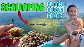 The Ultimate Guide to Scalloping: Finding and Cooking Bay Scallops
