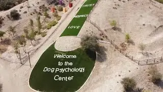 See our experience while training at Cesar Millan&rsquo;s Dog Psychology Center!