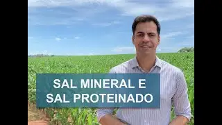 SIRVO SAL PROTEINADO, PRECISO COMPLEMENTAR COM SAL MINERAL?