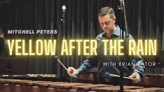Yellow After the Rain by Mitchell Peters, feat. Brian Zator