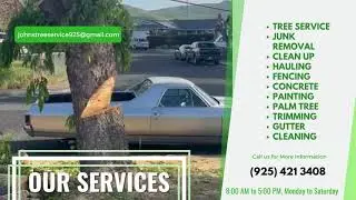 John's Tree Service