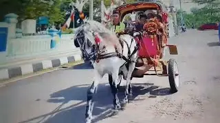 Tertip berlalu lintas