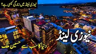 New Zealand Vlog | نیوزی لینڈ کا پورا سفر | Info At Sufi | New Zealand Facts