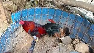 Un crucé a petición para compartirlo con ustedes un abrazo ala distancia 