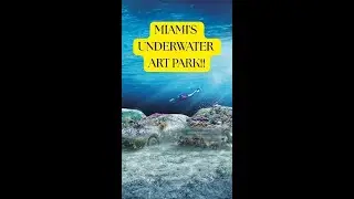 Miamis Underwater Art Park?! REEFLINE Concrete Coral  #shorts