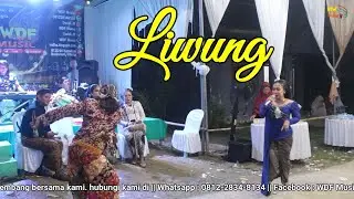 LIWUNG - INTAN TRIANI WDF MUSIC (PENTAS DI CIKEDONDONG, BANTARSARI CILACAP)