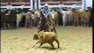 Peppy Plays for Cash - 2002 NCHA Futurity