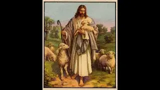 Bible Study: David the Shepherd King