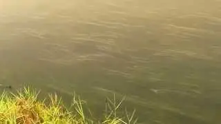 no trees no plants my relaxing place. silent is the great music