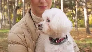 The Top 5 Best Selling Pet Products on Temu