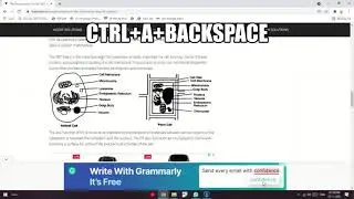how to make a website editable?