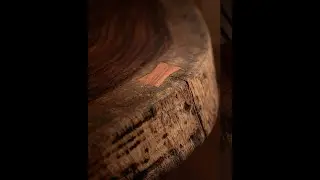 Incrustaci&oacute;n mariposa de madera de Tzalam en rodaja de Parota | Bow tie woodworking