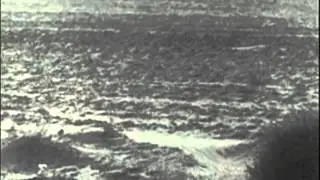 HEXVESSEL - Gaia (OFFICIAL VIDEO)