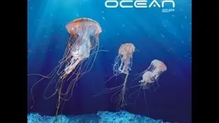 Denis Warren - Ocean EP - The Jungle Party