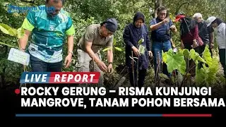 Tanam Mangrove Bersama, Risma : KRM Jadi Natural Seawall Surabaya dari Ancaman Bencana