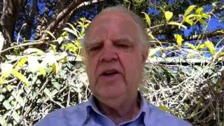 Budgie Health Tips on Recognising Diarrhoea in Budgies 17 07 2014