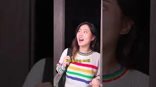 If Asian Mums had talking pets 🐶