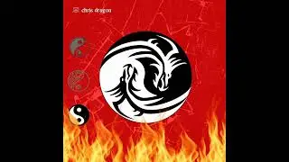 Chris Dragon - Public Enemy