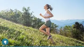 Knochengesundheit: Tipps f&uuml;r starke Knochen 💪