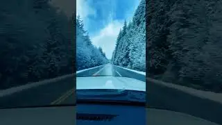 Van Life #shorts Travel VanLife #shortvideo Breaks from True Crime