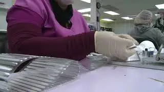 N95 masks