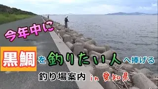 黒鯛を絶対釣りたいならここ！ルアー・落とし込み・前打ちの釣り場紹介 in 愛知県