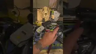 Beeman 50 hpa carbine