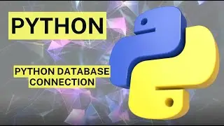 #PythonDay48 - Python Database Connection: Interacting with Databases