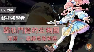CoffeeTora ├ Lv. 260 物理型終極初學者 | 霸肋門德的生物圈：深淵（連續盾擊衝撞） ┤ tw Ragnarok - Hyper Novice