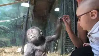 KINDI BROLL2