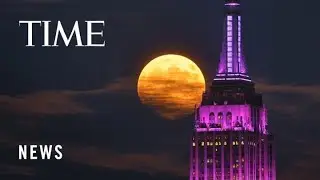 Watch: Rare Harvest-Blood-Supermoon Lights Up the Sky Across the World