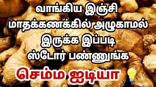 இஞ்சி மாதக்கணக்கில் அழுகிப்போகாமல் இருக்க அருமையான டிப்ஸ்/How to store ginger for long in tamil