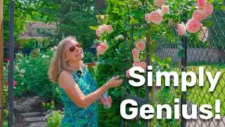 Her simple but genius way of building a secret backyard oasis