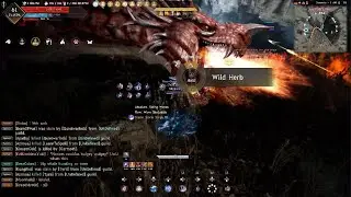 Black Desert console NA Garmouth Pvp farming Undefined at the same time