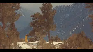 GREGNWMN: SOLAR FLARE ft. CARTER ACE (Official Video)