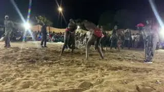 Combat Choc PAPE DIAGNE VS EL CAPO 24 DÉCEMBRE À THIARÉ 