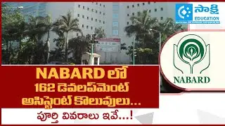 NABARD 162 Development Assistant Job Notification Out | Eligibility, Salary, Exam Pattern | #jobs