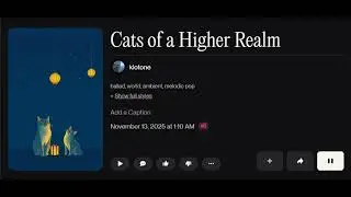 Cats of a Higher Realm