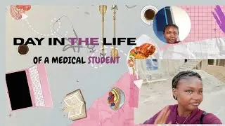 Med School Diaries: From Morning Lectures to Late Night Snacks 