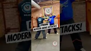 Dynamic Modern Arnis!   #martialarts #modernarnis #fma #arnis #escrima #kali #balintawak #filipino