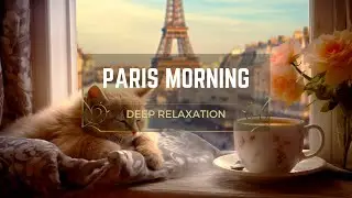 Paris Morning - Fall Asleep with Purring Cats and Birds Singing🌞 Deep Relaxation, Stress Relief