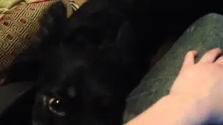 Being Bossy (Bre&ntilde;a Vids #2)