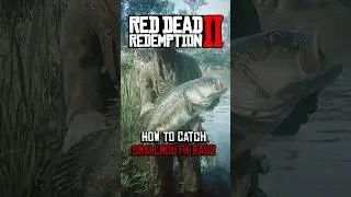 Как поймать окуня в RDR2 в 2026 году! #shorts #rdr2 #reddeadredemption2 #fyp #viral