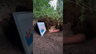 Cozy Bunny's Cartoon Delight