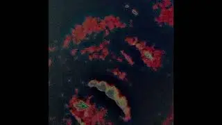 Punkatar Broke My Heart - Ginseng Freestyle (Official Audio)