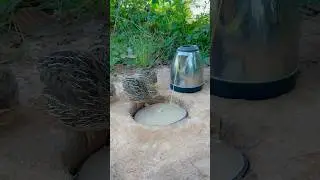 Unique Bird Trap Using Deep Hole And Paper #shorts