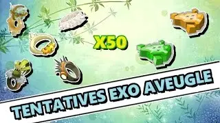 [Dofus] 50 TENTATIVES D'EXOS &Agrave; L'AVEUGLE !