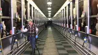 Dairy farm produces own power