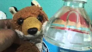 Foxie's adventures