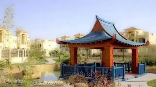 Next Home Real Estate